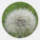 Search for blended stickers White