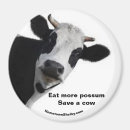 Search for possum magnets Funny