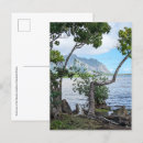 Search for hawaiian vacation postcards Ocean