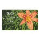 Search for lily name tags Garden