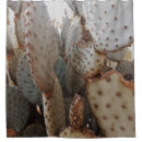 Search for cactus shower curtains Retro