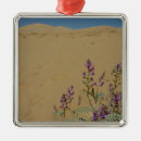Search for mojave christmas tree decorations Nature