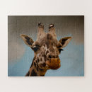 Search for face puzzles Cute animal