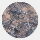 Search for gold paint stickers Modern