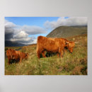 Search for scottish posters Highland