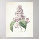 Search for lila posters Purple
