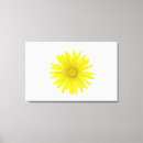 Search for dandelion canvas prints Delicate