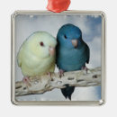Search for parakeet christmas tree decorations Bird