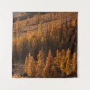 Search for leaf photography Trees