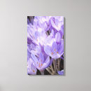 Search for spring crocus art Floral