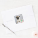 Search for birthday pug stickers Animal