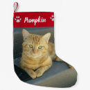 Search for orange cat christmas stockings For pets