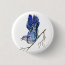 Search for jay badges Watercolor