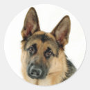 Search for police dogs stickers Puppies