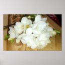 Search for freesia gifts Modern