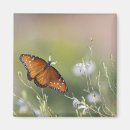 Search for light orange magnets Nature