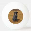 Search for pet dog ping pong balls Animals