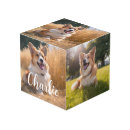 Search for pet photo cubes In loving memory