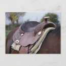 Search for saddle postcards Ranch
