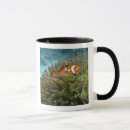 Search for clown fish mugs Anemone