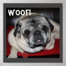 Search for woof posters Pug