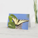 Search for swallowtail cards Inspirational