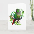 Search for conures cards Parrots