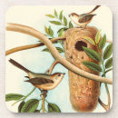 Search for nest coasters Bird