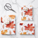 Search for terracotta wrapping paper Autumn