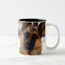 Search for shepherd photography German shepherd lovers