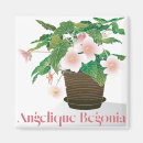Search for begonia magnets White