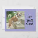 Search for english bulldog invitations Funny