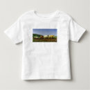 Search for ploughing tshirts Oxen