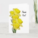 Search for daffodils thank you cards Floral
