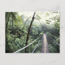 Search for monteverde postcards Tropical