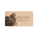Search for mourning return address labels Animals