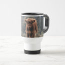 Search for cows in field mugs Calf