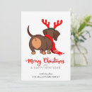 Search for funny dachshund christmas cards Pet