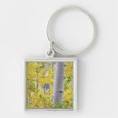 Search for aspen colorado key rings Usa
