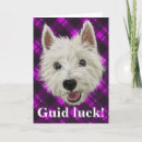 Search for guided cards Dog