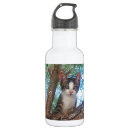 Search for little kitty drinkware Cats