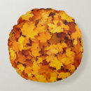 Search for autumn cushions Landscape