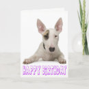 Search for bull terrier birthday cards Puppy