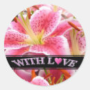 Search for stargazer lily stickers For her