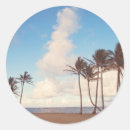 Search for kauai hawaii stickers Palm trees