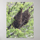Search for swarming posters Bees