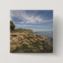 Search for seaside badges Landscape