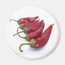 Search for chilly magnets White