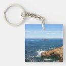 Search for otter key rings Ocean