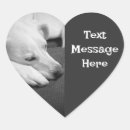 Search for dog photos stickers Photography